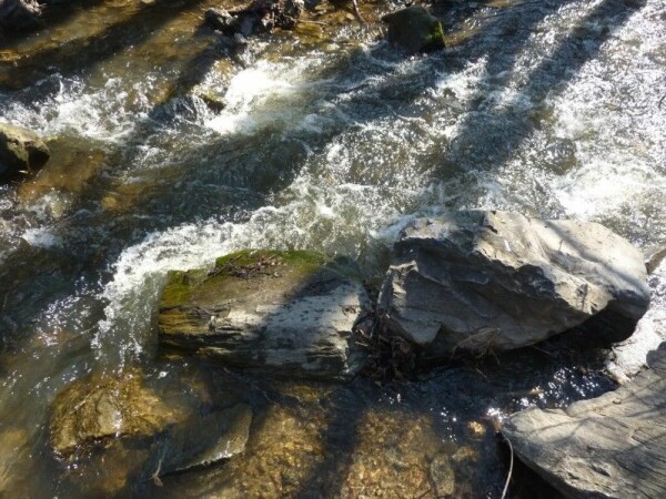 Z Velké Bíteše údolím Bílého potoka (foto 1)