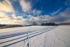 Okolo lesa Ochozy (foto 2)