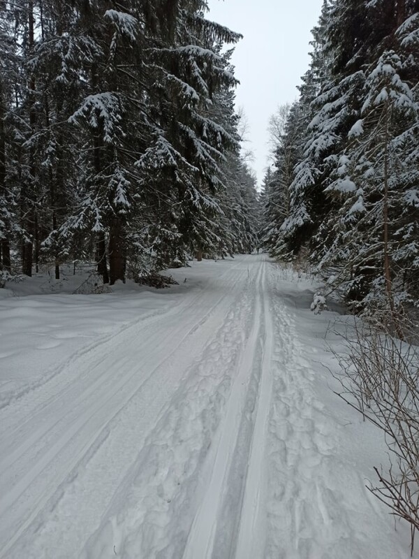 Světnovský okruh (foto 1)