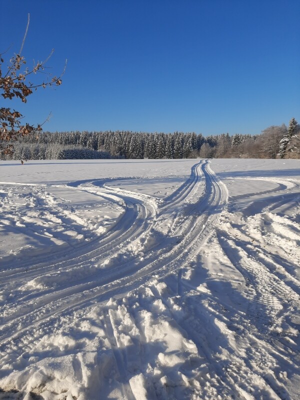 Běžkařské trasy Křižánky (foto 1)