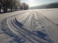 Běžkařské trasy Křižánky (foto 2)