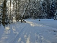 Běžkařské trasy Křižánky (foto 3)