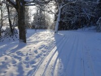 Běžkařské trasy Křižánky (foto 4)