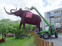 Muzeum rekordů a kuriozit Pelhřimov (foto 10)