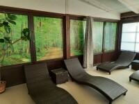 Penzion a restaurace Selský dvůr (foto 8)