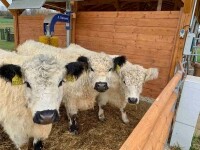 Farma Zelené údolí (foto 6)