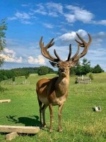 Farma Zelené údolí (foto 7)