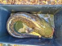 Farma Zelené údolí (foto 8)