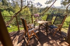 Treehouse - Stvořidla (foto 11)