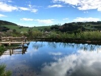 Penzion Konvalinka (foto 6)