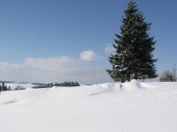 Skiareál Svratka (foto 3)