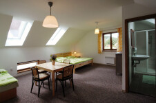 Penzion u Pelejových Guesthouse (photo 6)