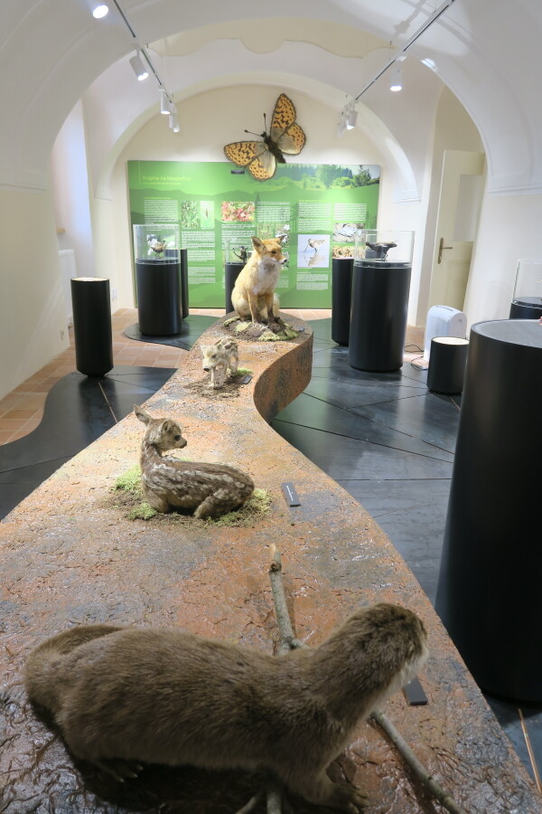 Muzeum Vysočiny Jihlava, pobočka Telč (foto 1)