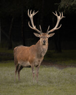 Eko farma Zelené údolí (foto 19)