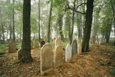 Židovský hřbitov Habry (foto 3)