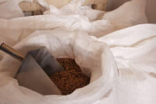 PODKLASZTORNY BROWAR TŘEBÍČ (zdjęcie 5)