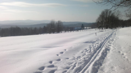 Okolím města Telč (foto 3)