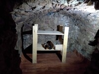 Domek v Růžovce (foto 8)