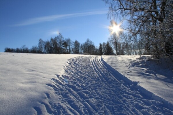 Okruh Nový Hojkov (foto 1)