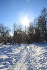 Okruh Nový Hojkov (foto 4)