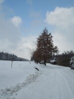 Okruh Vysoká (foto 5)