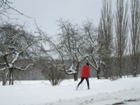 Okruh Vysoká (foto 4)