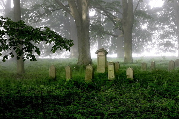 Unikátní židovský-tyfový hřbitov (foto 1)