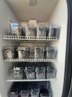 Borůvková farma Samšín (foto 9)