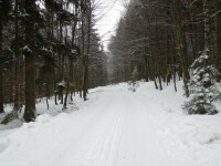 Račínský okruh (foto 3)