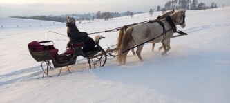 Sedlářství ve staré škole (foto 3)
