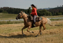 Sedlářství ve staré škole (foto 11)