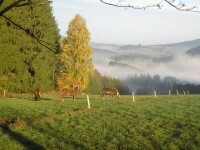 Selské stavení (foto 15)