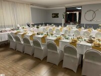 RESTAURACE BOROVINKA Les resort (foto 7)