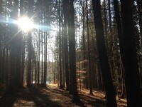 Obrázková cesta lesem Ochoza (foto 5)