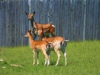 Naučná stezka Metodka (foto 11)