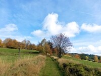 Naučná stezka Za Pilníkáři na Český kopec (foto 4)