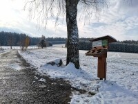 Naučná stezka Naše stromy (foto 9)