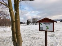 Naučná stezka Naše stromy (foto 10)