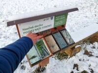 Naučná stezka Naše stromy (foto 5)