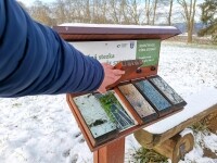 Naučná stezka Naše stromy (foto 11)