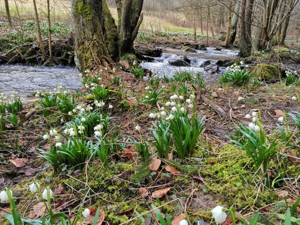 Naučná stezka Údolím Chlébského potoka (foto 1)