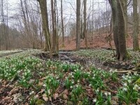 Naučná stezka Údolím Chlébského potoka (foto 2)