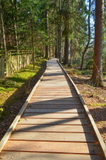 Naučná stezka kolem Zelené hory - trasa B (foto 4)