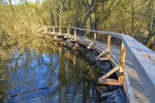 Naučná stezka kolem Zelené hory - trasa B (foto 5)