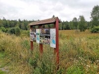 Naučná stezka Dářská rašeliniště (foto 4)