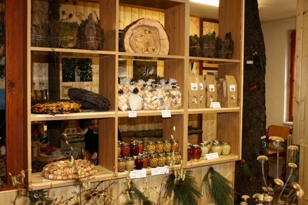 Stálá expozice dřevin a rostlin ČR (foto 1)