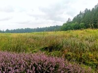 Naučná stezka Babín (foto 8)