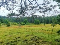 Naučná stezka Babín (foto 9)