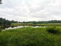 Naučná stezka Babín (foto 10)