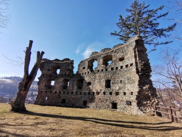 Zřícenina hradu Dalečín (foto 1)